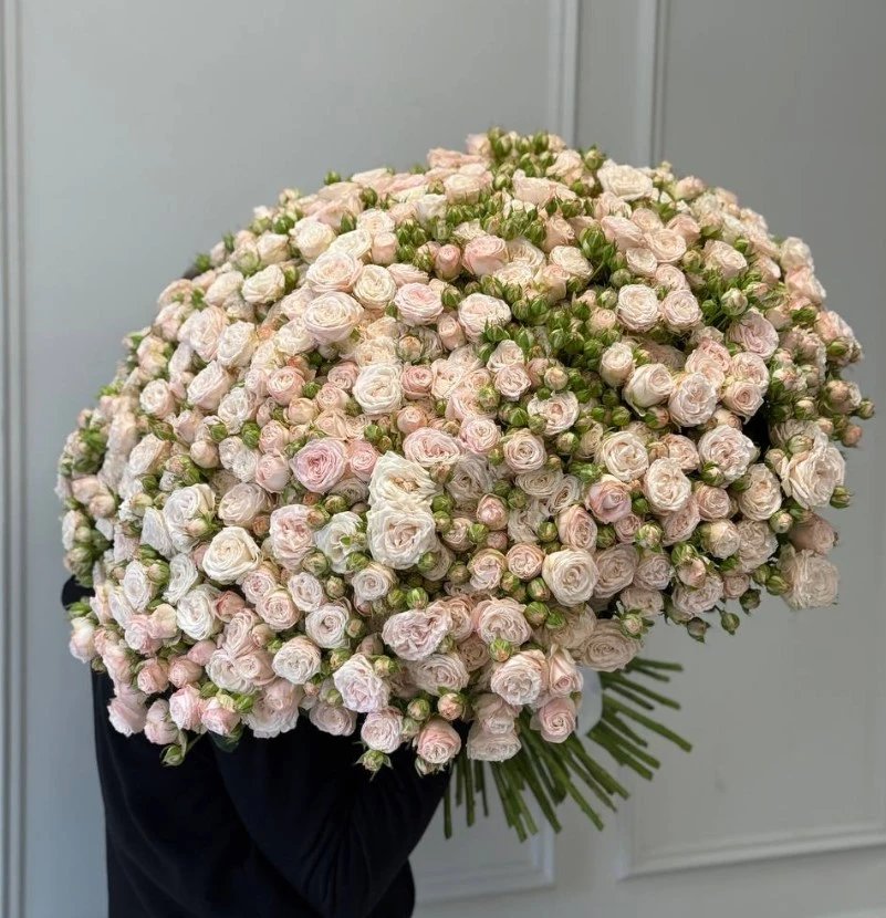 ������� ����� ������� ������ �� ���������